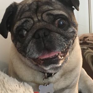 Meet your Posher, Brandon